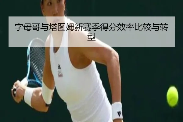 字母哥与塔图姆新赛季得分效率比较与转型